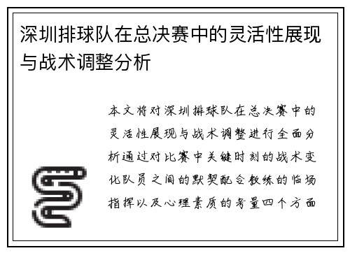 深圳排球队在总决赛中的灵活性展现与战术调整分析