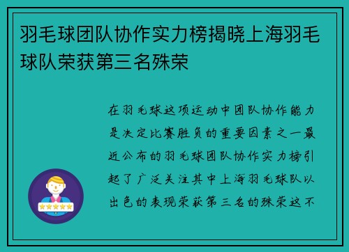 羽毛球团队协作实力榜揭晓上海羽毛球队荣获第三名殊荣