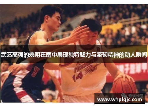 武艺高强的姚明在雨中展现独特魅力与坚韧精神的动人瞬间