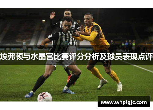 埃弗顿与水晶宫比赛评分分析及球员表现点评